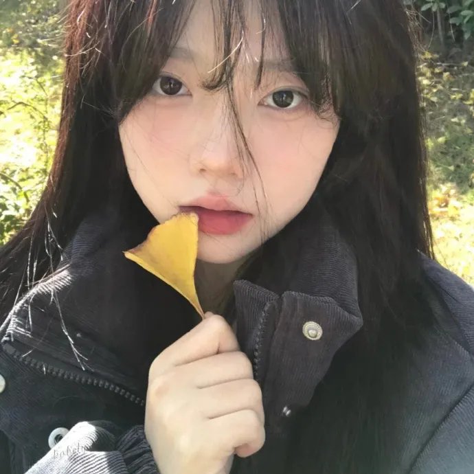 一吻存档